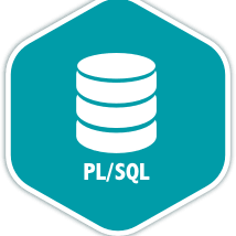 PL/SQL