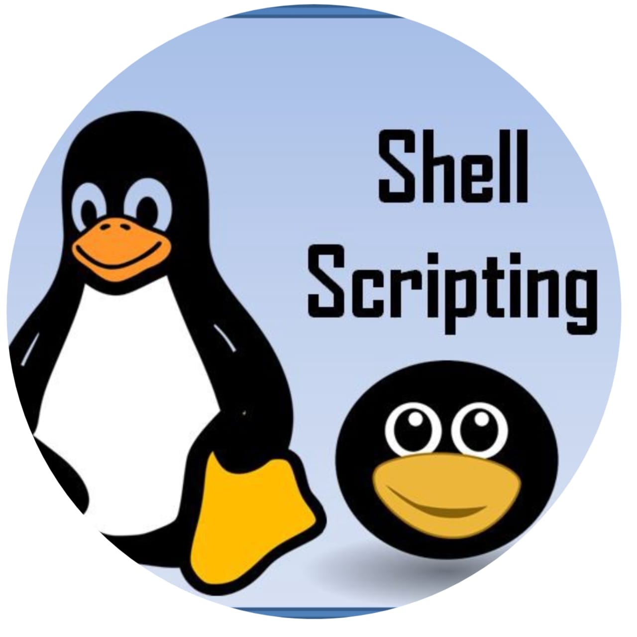 shell scripting